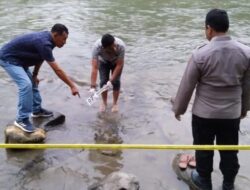 Wanita Lansia di Paluta Tewas Usai Tergelincir Saat Mandi di Sungai
